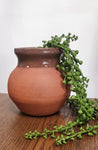 Gorgeous small pottery urn/vase