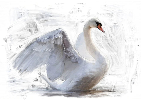 White Swan REVERSED
