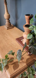 Oak lamp/hall table