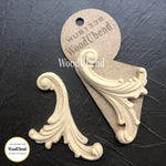 Set of Decorative Plumes