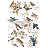 POSTAL BIRDS