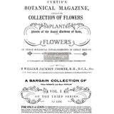 BOTANICAL MAGAZINE